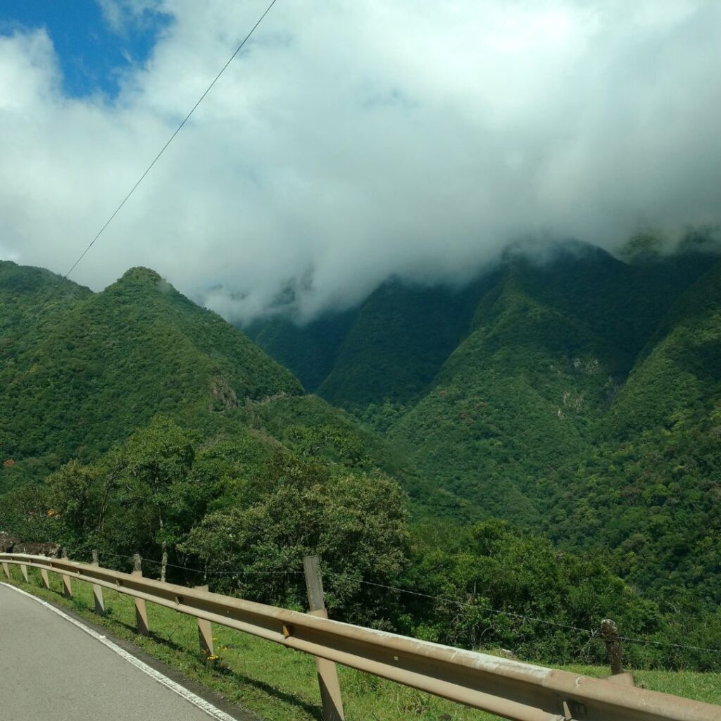 Serra catarinense (4)